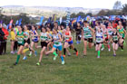 Girls Under-16s 2026 NEHL Eltringham, Mickley, Northumberland. Photo: David T. Hewitson/Sports for All Pics